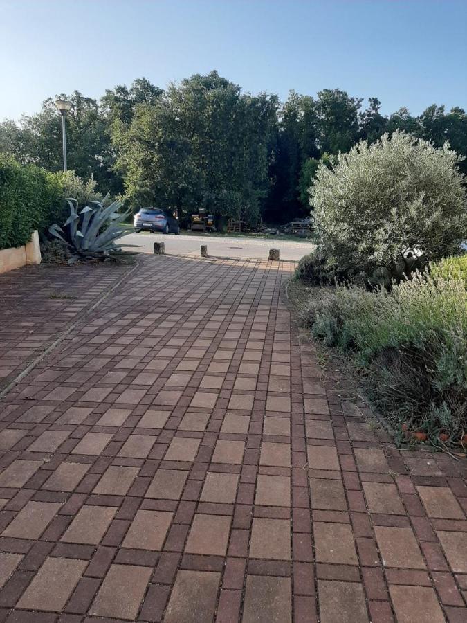 Novigrad Istria Medo 아파트 외부 사진